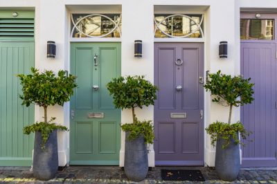 Painting Front Door and Windows
