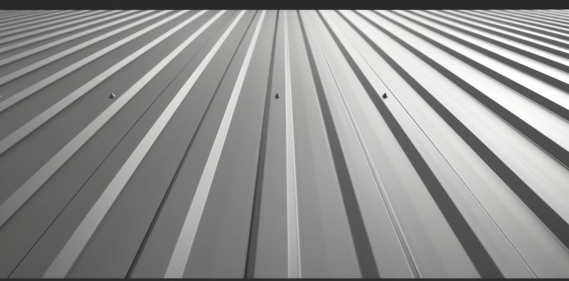 Metal Roof Painting detail