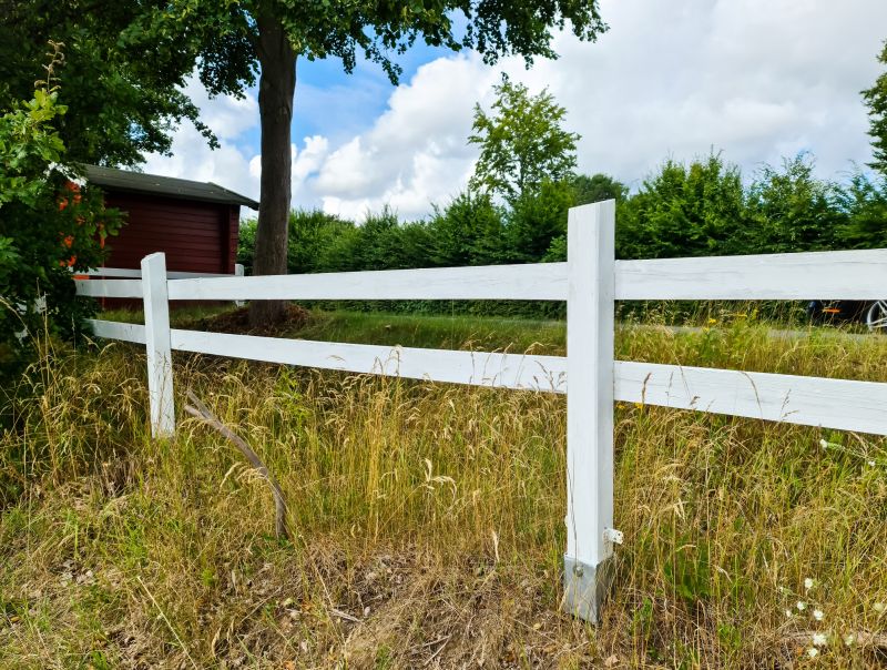 Horse Fence Painting